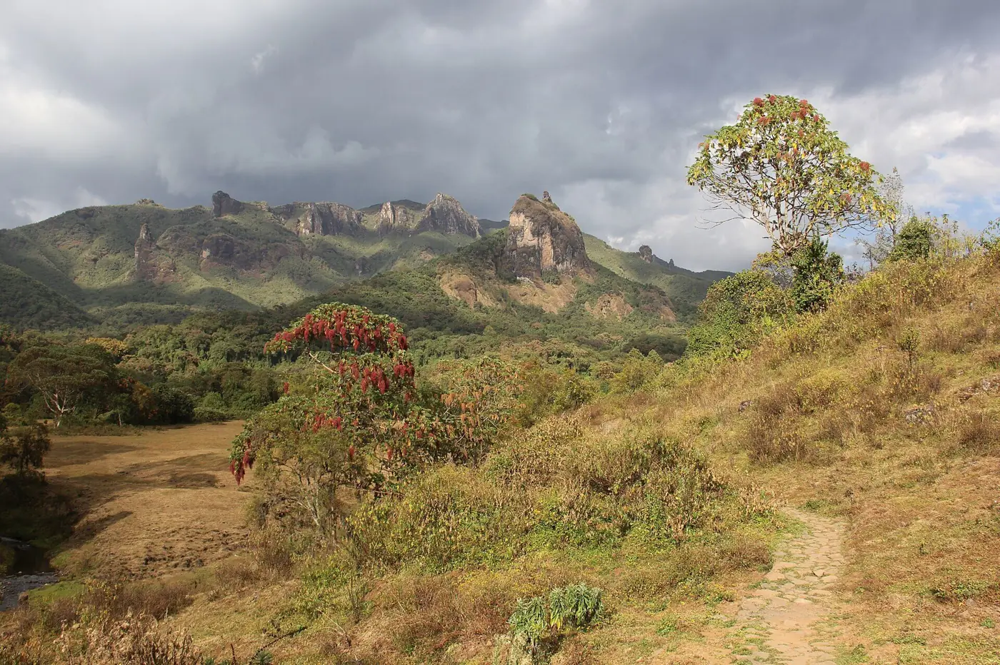Trek de 4 jours dans les montagnes de Bale
