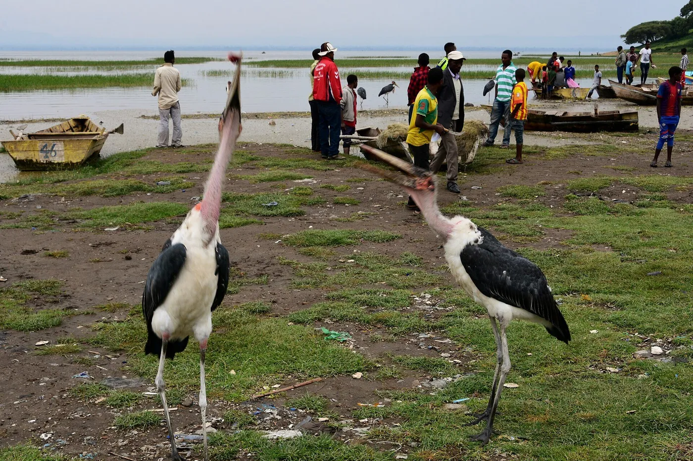 Hawassa, Ethiopia